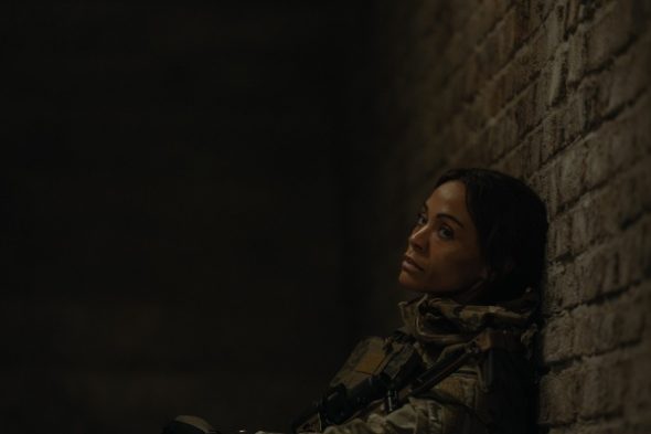 Lioness TV Show on Paramount+: canceled or renewed?