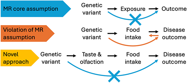 Mendelian Randomization