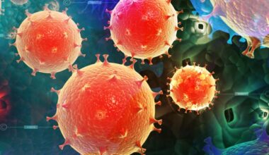 Cellular process discovery may lead to new cancer treatments