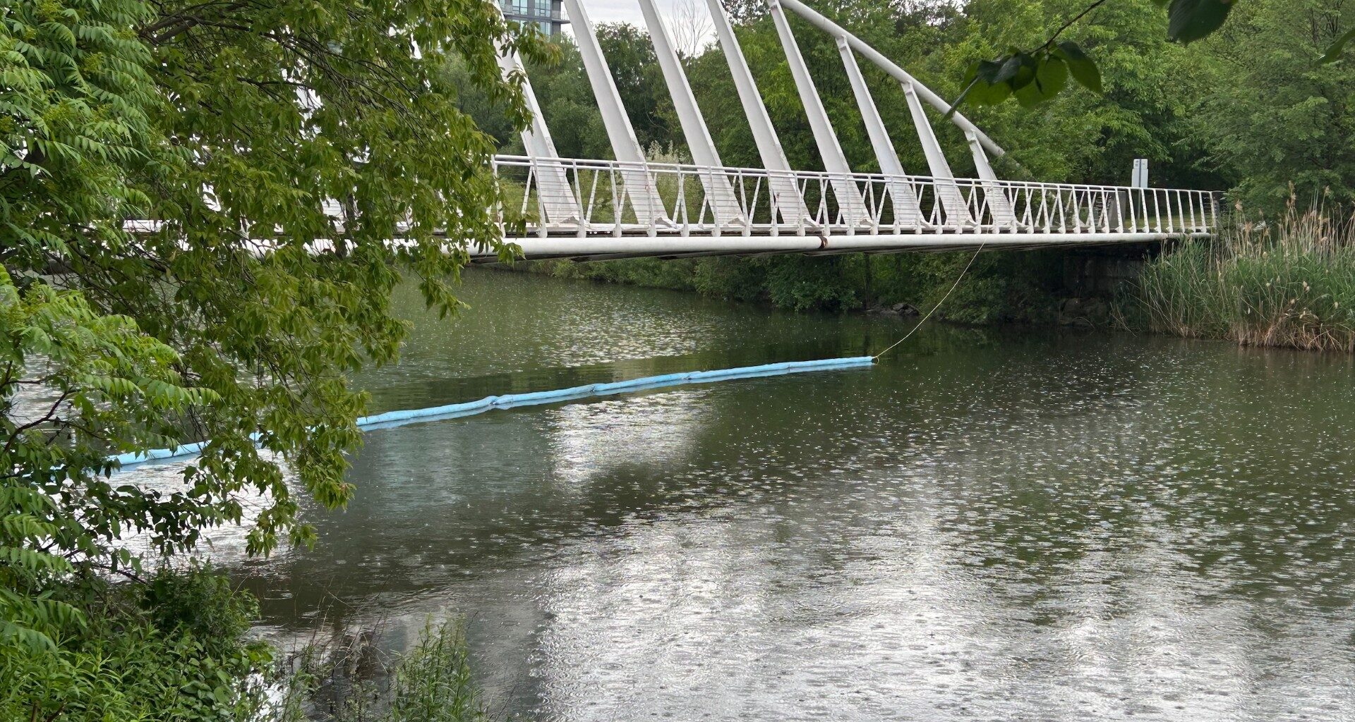 Diesel spill contained in Mimico Creek as city launches cleanup