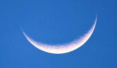 Watch The Moon Cover Venus in a Rare Daytime Sky Event This Week : ScienceAlert
