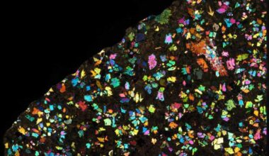 Rare meteorite: Multicolored flecks on a black background.