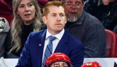 ‘No smoke’ to rumours linking Toronto Maple Leafs to David Carle for head coaching vacancy, Johnston says