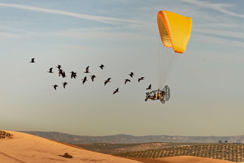 A person flies a powered paraglider with a yellow and orange wing over a sandy landscape, alongside a flock of birds in the sky, with distant mountains in the background.