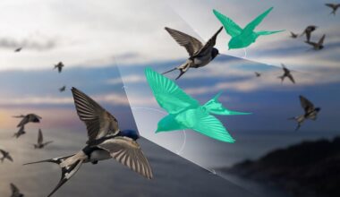 How Flocking Birds “Defy” One of Physics’ Most Fundamental Laws