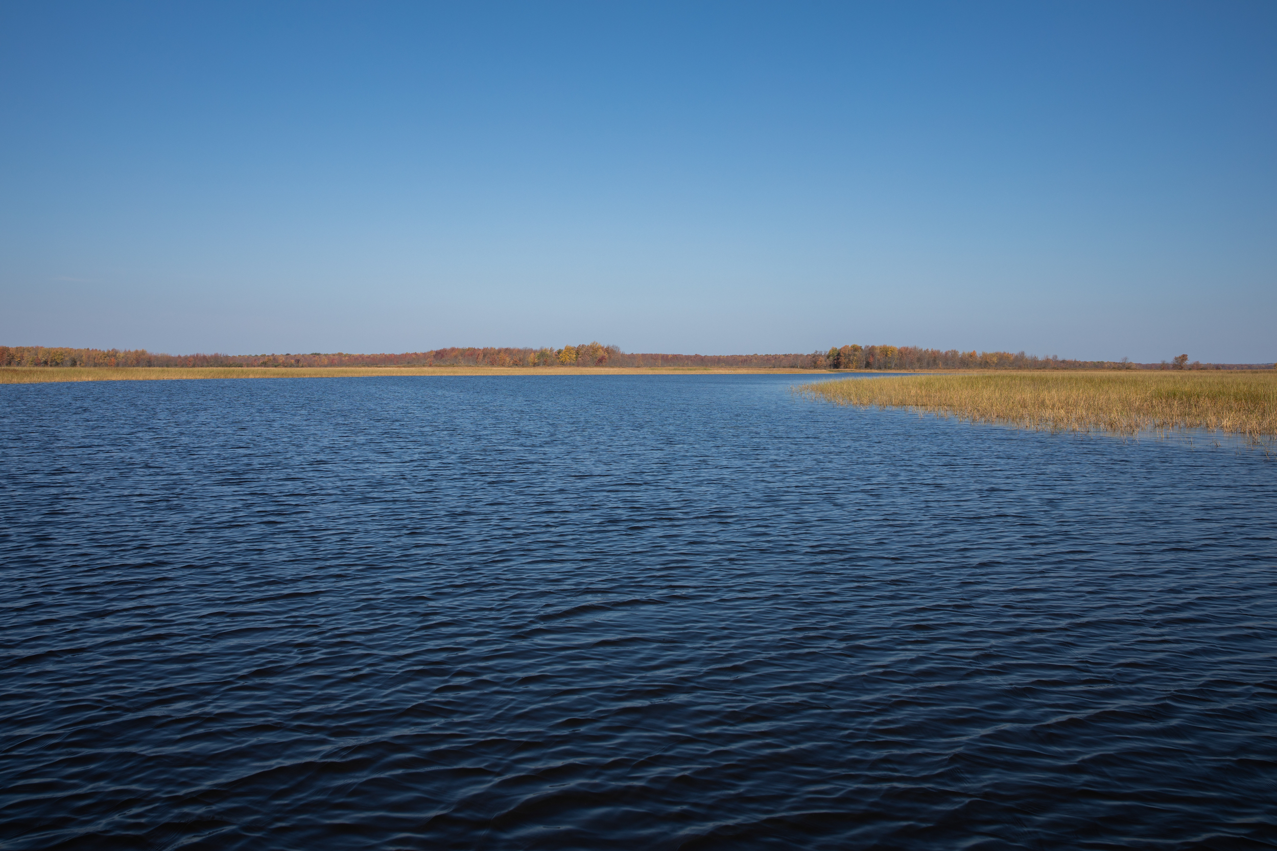 Cache Bay, Lake Nipissing, where Nipissing First Nation’s Natural Resources team is planting and harvesting wild rice.