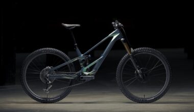 Orbea Wild LT goes Avinox, but different