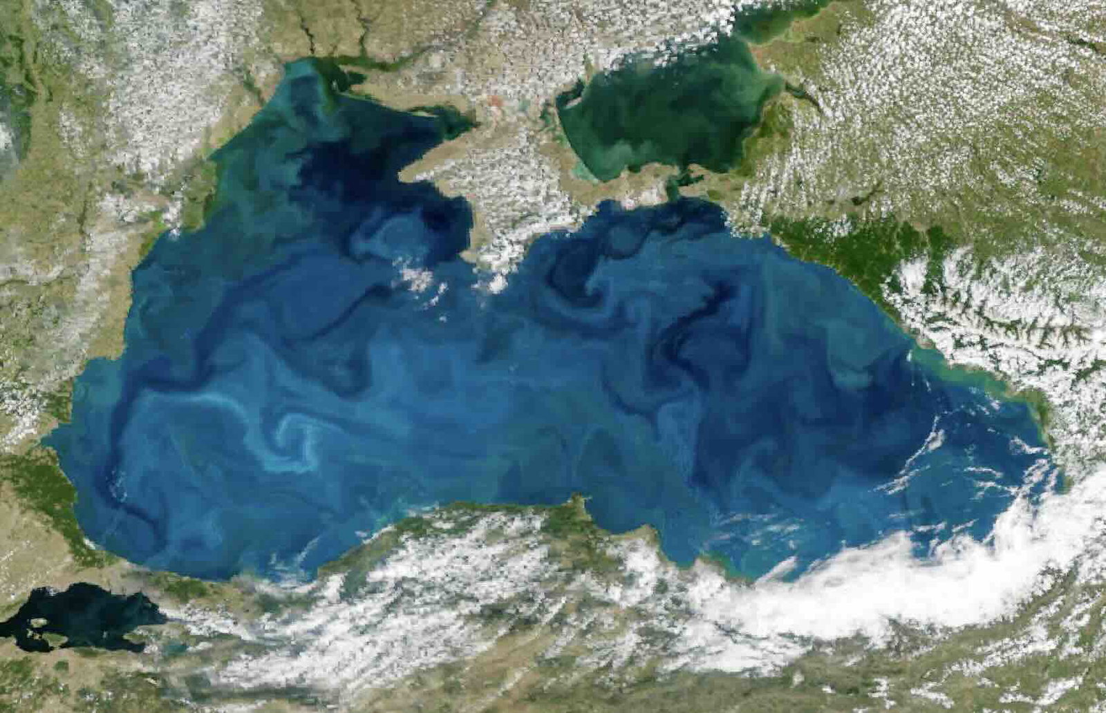 PACE Black Sea