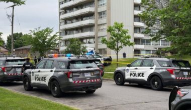 North York fight: One dead after vehicle strikes pedestrian