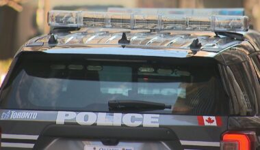 2 elderly women hit by tree branches while on Toronto patio