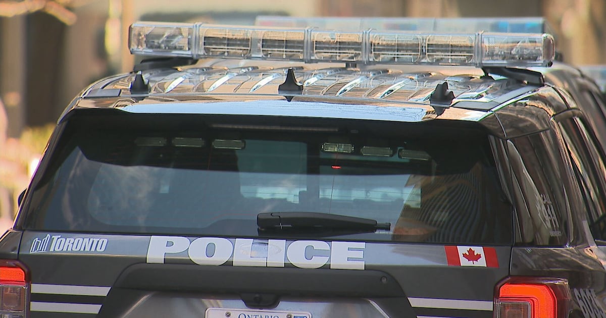 2 elderly women hit by tree branches while on Toronto patio