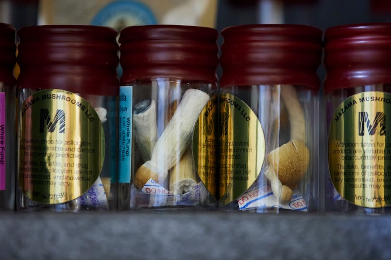 Mushrooms for patients are shown at a psilocybin service centre in Gresham, Ore., on Nov. 18, 2024. (Craig Mitchelldyer / AP Photo)