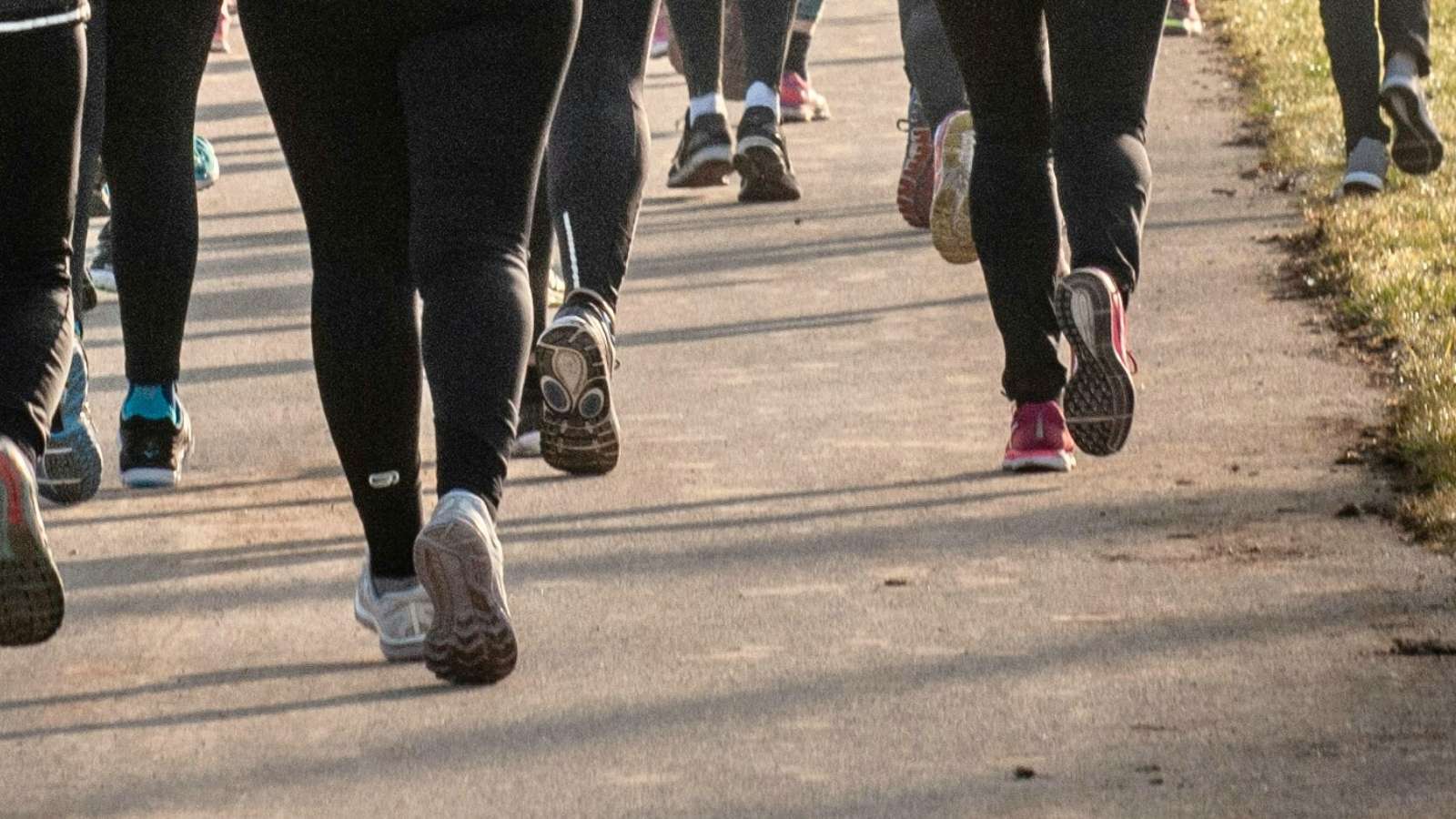 Walk for Wellness helps connect KFL&A residents with more than 150 counselling sessions – Kingston News