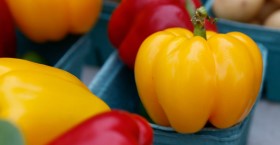 Are you looking for fresh produce? Visit a farmers market in Mississauga – City of Mississauga
