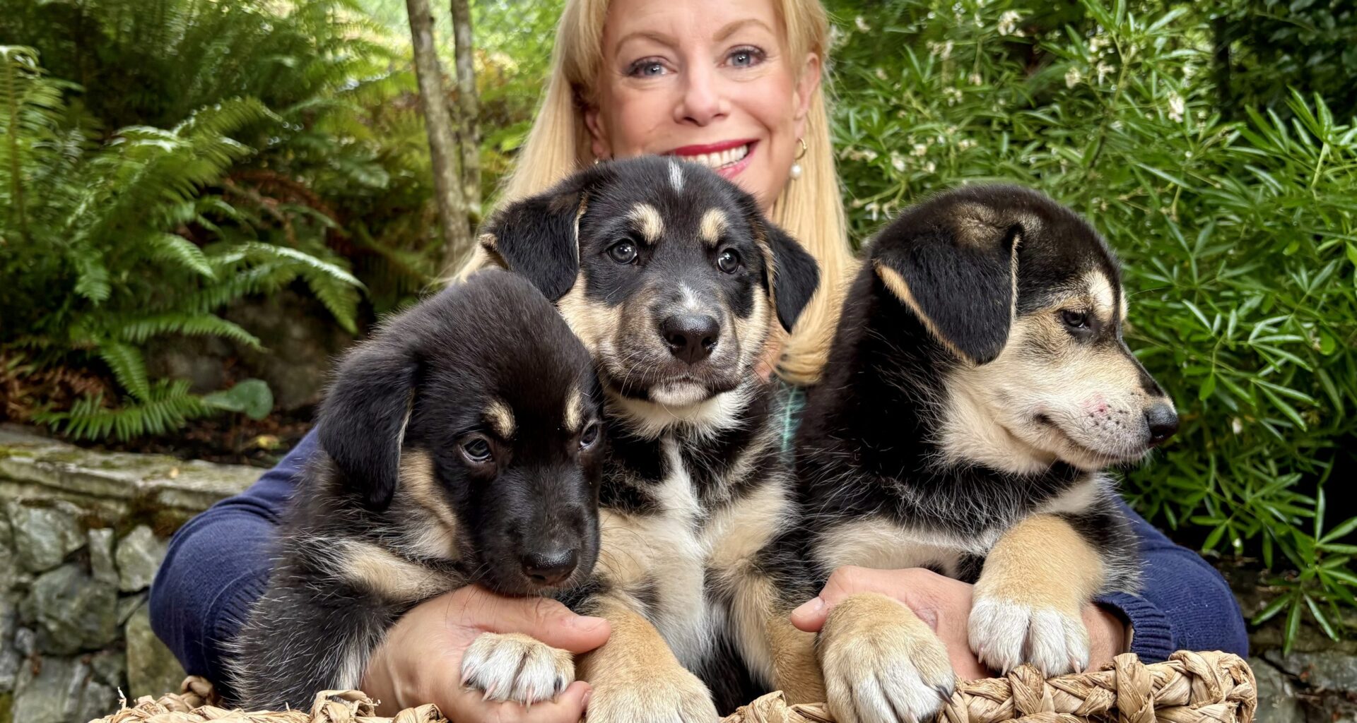 Pet CHEK: Meet Larry, Curly and Moe of the 'Three Stooges Litter'