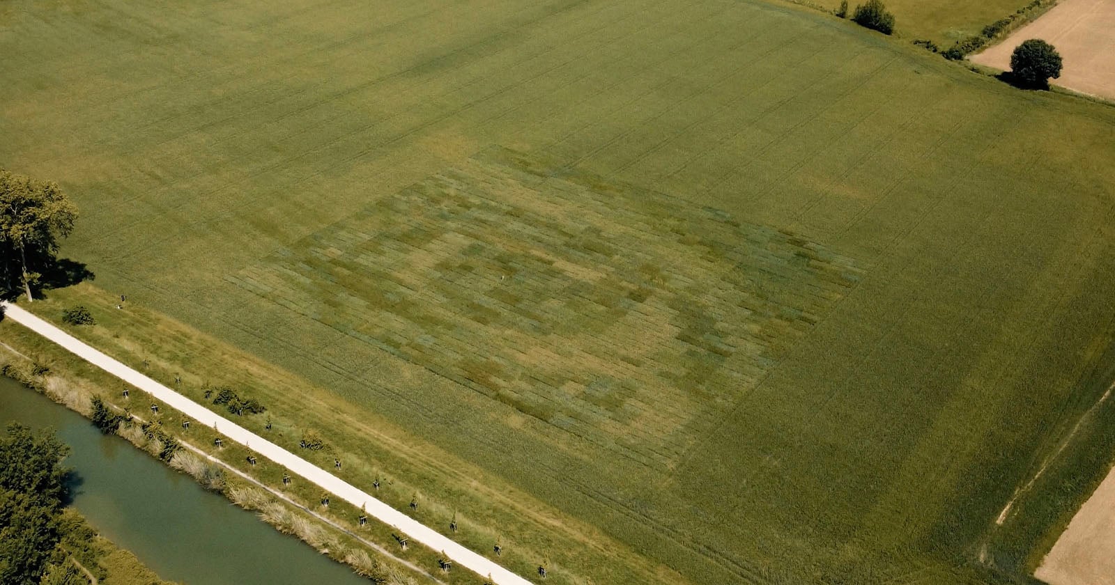 Aerial view of a large green field with a faint, lighter rectangular patch of different shades in the grass, possibly forming a subtle pattern or design. A road and a canal run along the edge of the field.
