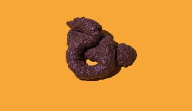 There Is a Universal Law in The Shape of All Poop, Physicists Reveal : ScienceAlert