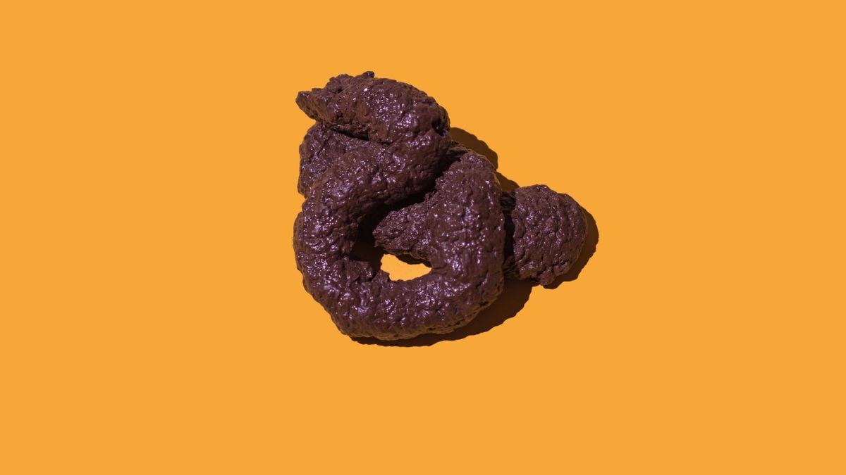 There Is a Universal Law in The Shape of All Poop, Physicists Reveal : ScienceAlert