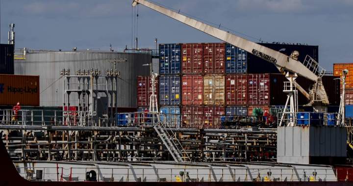 Ottawa moves to crack down on forced labour products with new measures - National