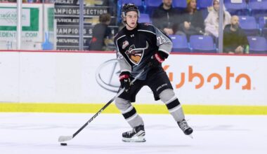 10 prospects the Canucks could select with picks 33 and 41 of the NHL draft