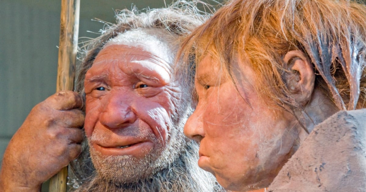 Neanderthals in Belgium were healthy before dying out: study