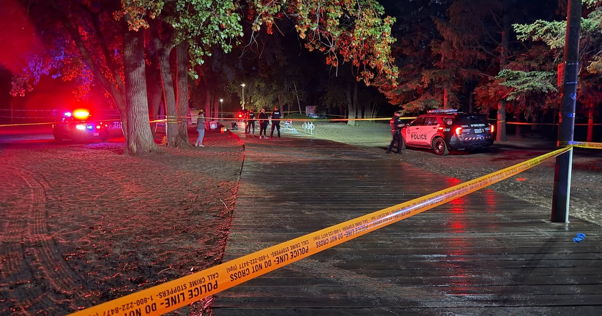 Woodbine Beach stabbing: 1 person seriously injured