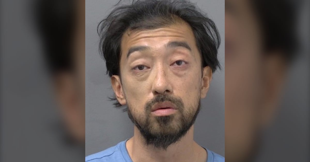 Mississauga man charged in random assaults, rock attacks