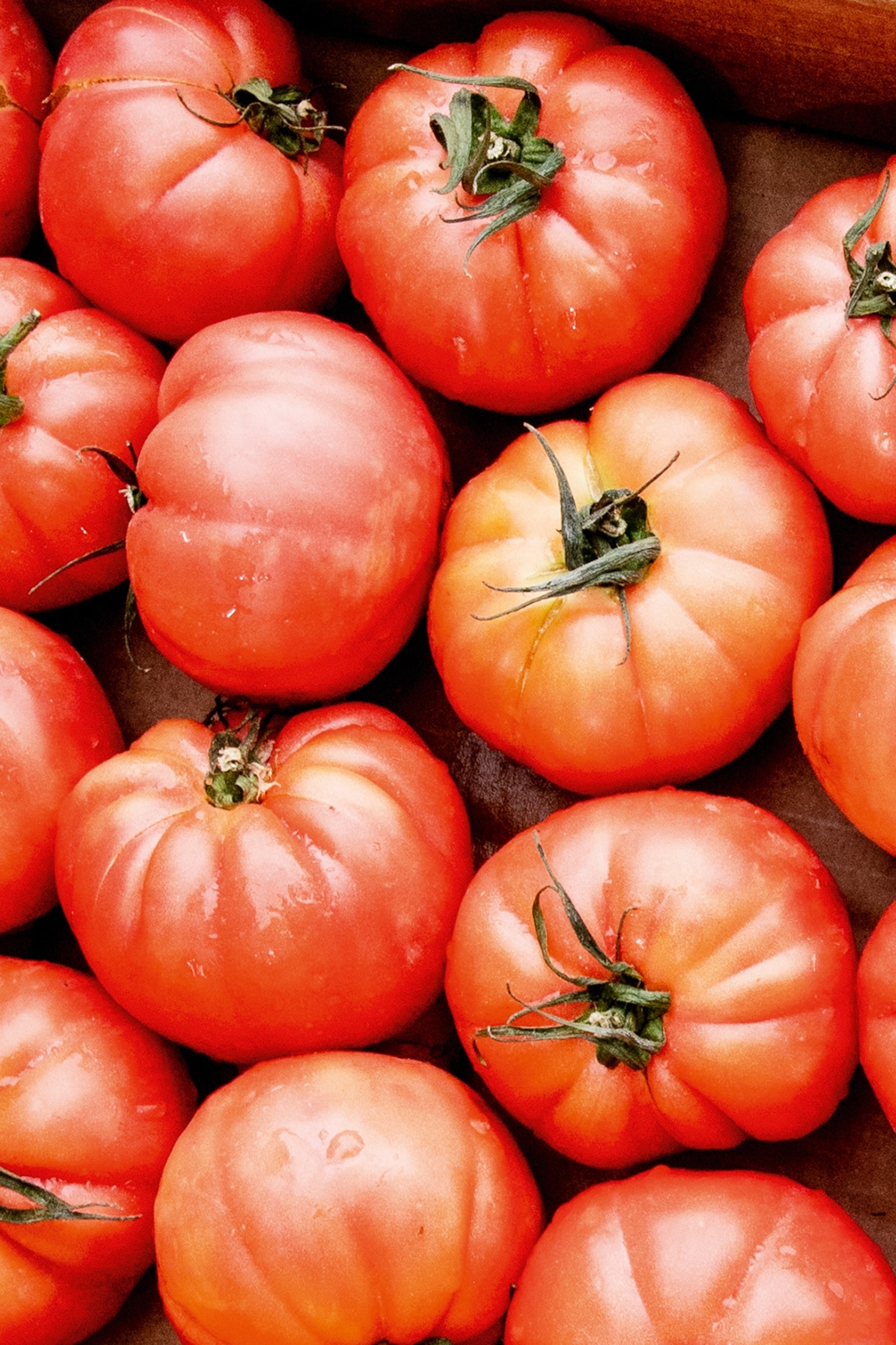 Lots of tomatoes in a box.