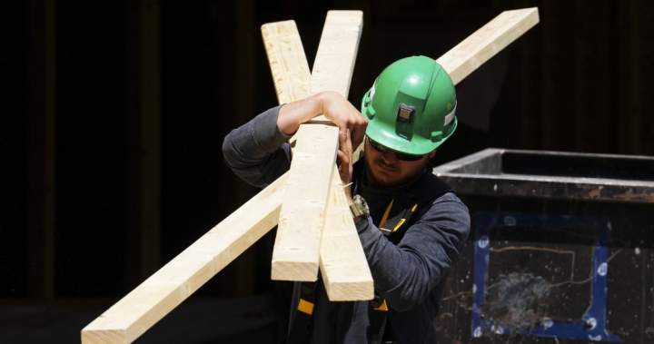 Are we in a recession? ‘Be careful’ with indicators, says Bank of Canada - National