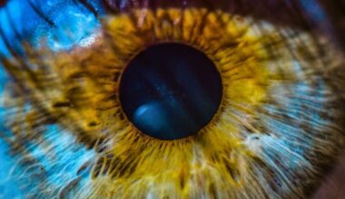 A Signal of Future Alzheimer's May Be Hidden in Your Eyes : ScienceAlert