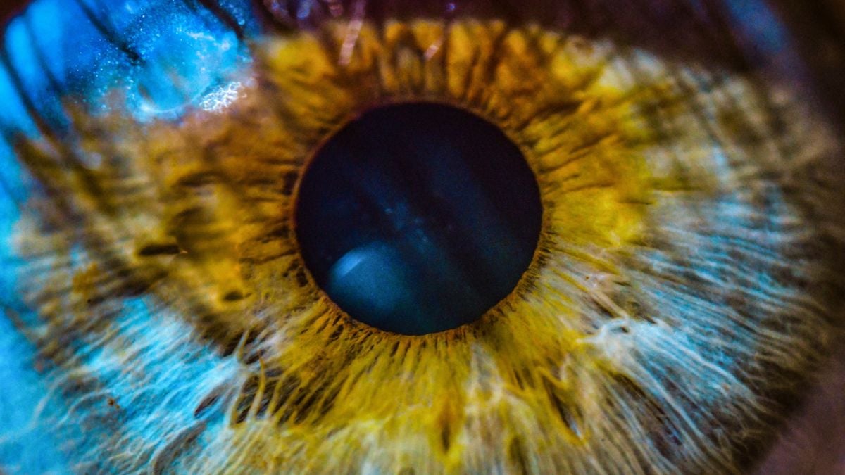 A Signal of Future Alzheimer's May Be Hidden in Your Eyes : ScienceAlert