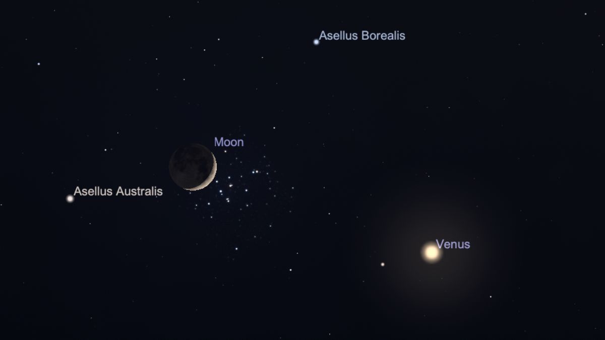 night sky graphic showing the moon shining close to the beehive cluster