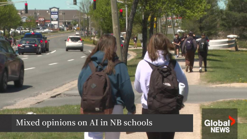 Click to play video: 'New Brunswick students have mixed opinions on AI in schools'