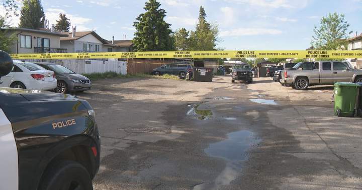 Calgary police investigating southeast shooting - Calgary
