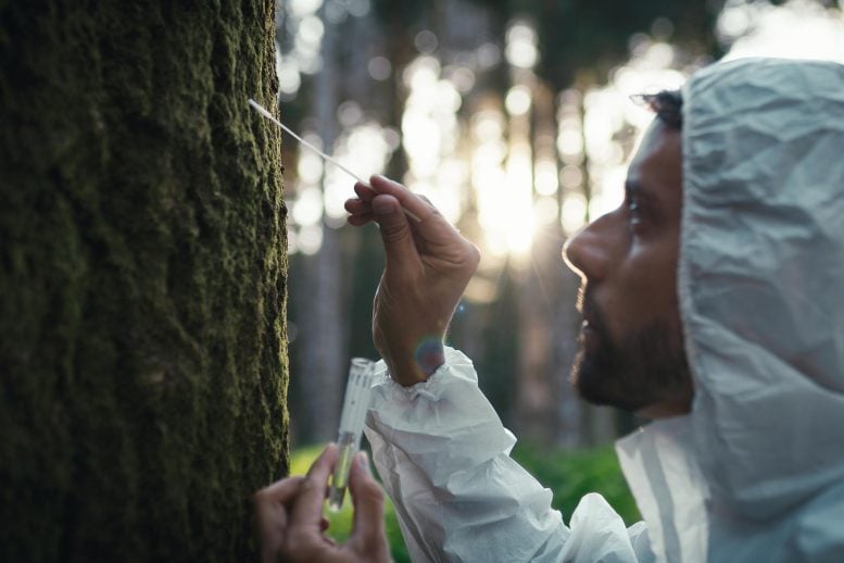 Scientist Tree Moss Pollution Sample Test