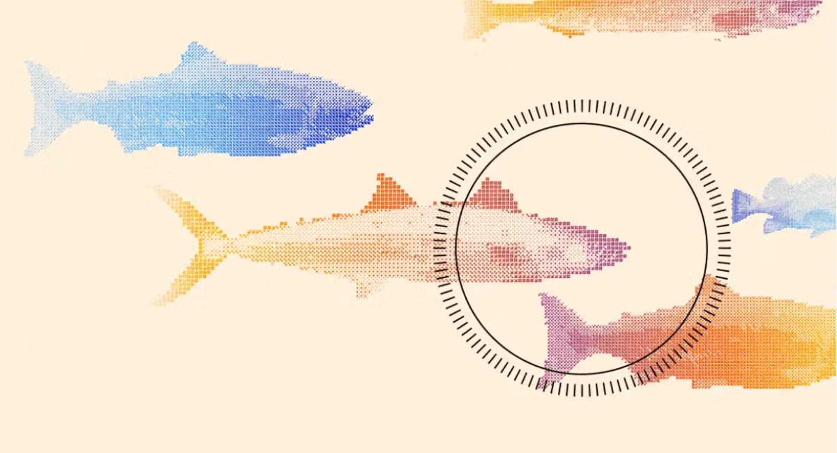 Founders Fund's outlier bet on humanely killed fish
