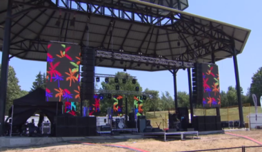 AfroFest organizers facing challenges securing permit from City of Toronto due to event size