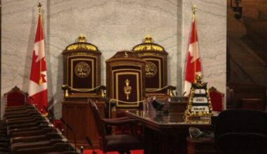 Senate Indigenous committee wants updates from Ottawa on UNDRIP commitments