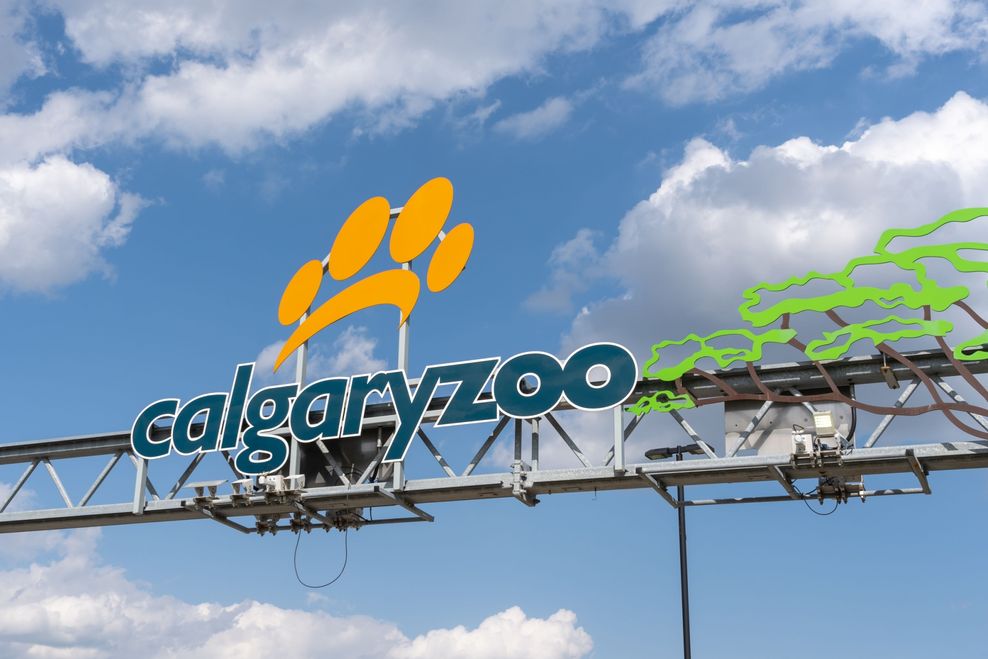 Calgary zoo new