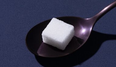 Sugar-Free Diets May Have a Hidden Side Effect, Study in Mice Suggests : ScienceAlert