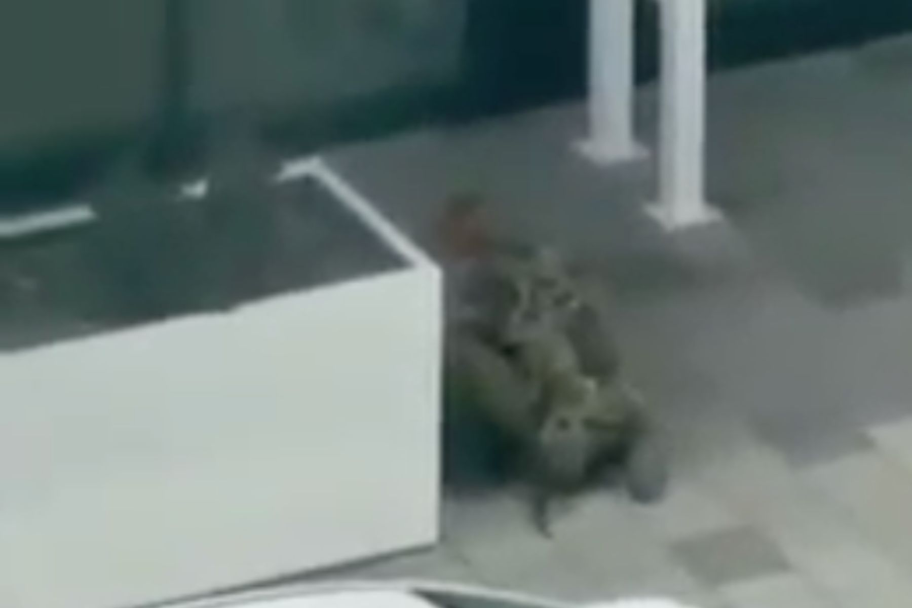 Grainy photo of man in camo crouching on the ground 