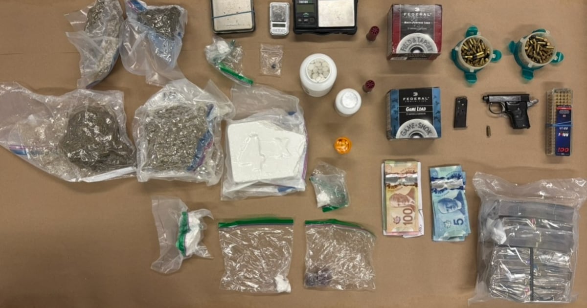 Toronto police seize gun, drugs and $180K