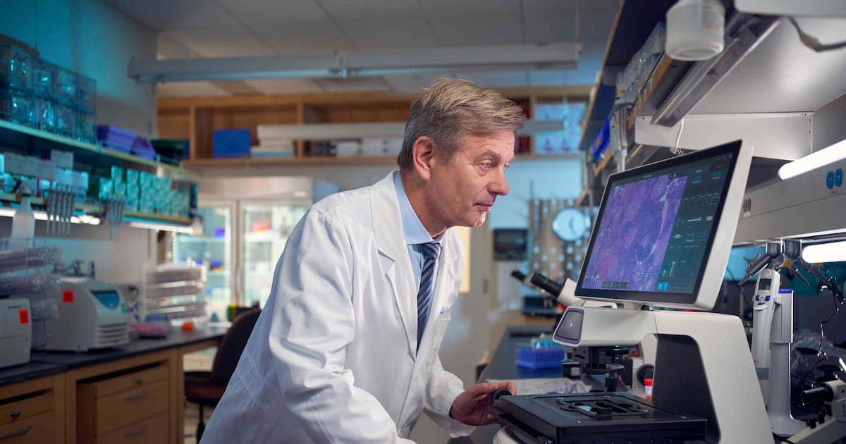 Health news: Strong guts may help cure cancer research finds