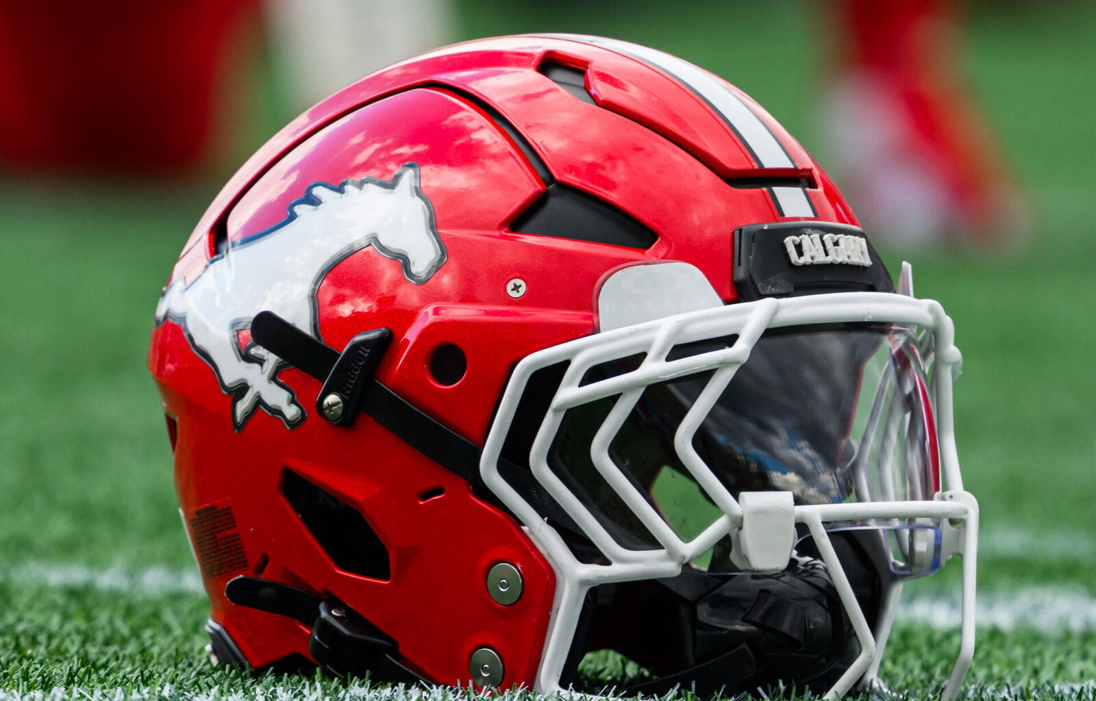 Helmet