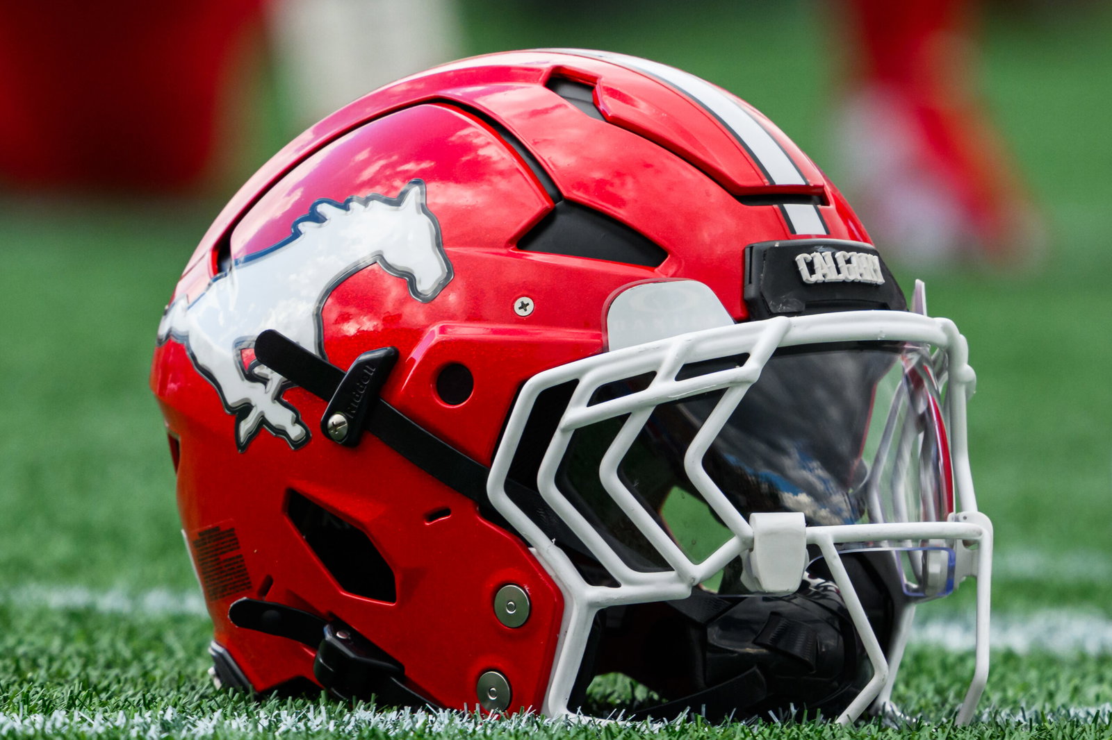 Helmet