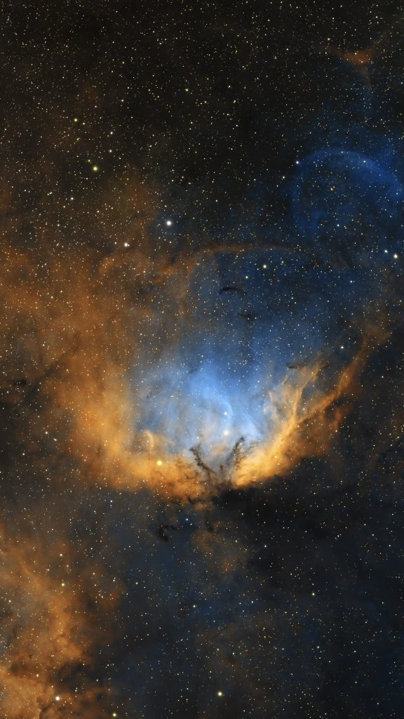 tulip nebula