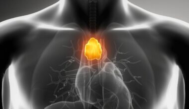 A 'Useless' Organ That Doctors Often Remove May Actually Fight Cancer : ScienceAlert