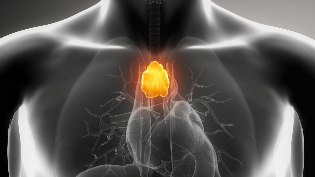 A 'Useless' Organ That Doctors Often Remove May Actually Fight Cancer : ScienceAlert