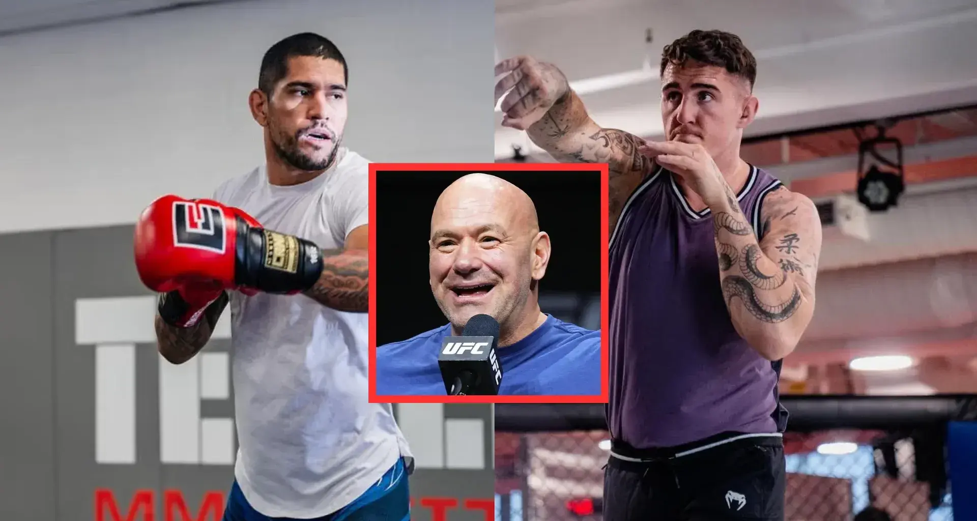 Dana White