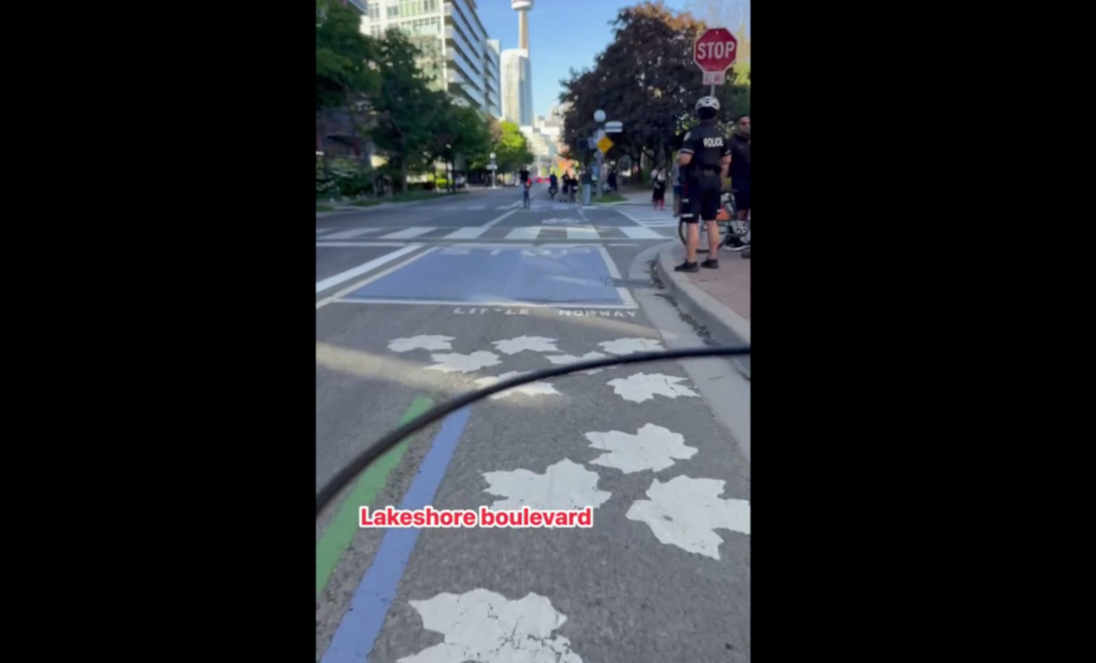 Toronto police respond after video shows cyclist tackled in bike lane incident